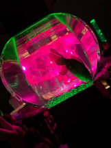 PURITY - ほたるの女の子ブログ画像