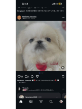 PURITY - ほたるの女の子ブログ画像