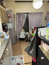 PURITY - ほたるの女の子ブログ画像