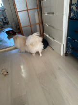 PURITY - ほたるの女の子ブログ画像