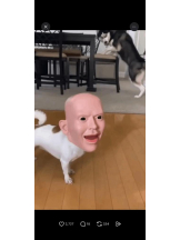 PURITY - ほたるの女の子ブログ画像