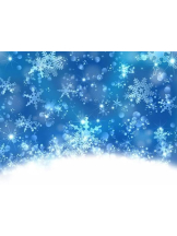 PURITY - ほたるの女の子ブログ画像