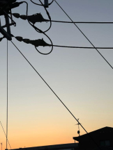 PURITY - ほたるの女の子ブログ画像