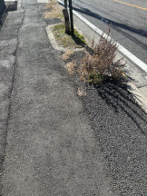 PURITY - ほたるの女の子ブログ画像