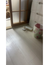 PURITY - ほたるの女の子ブログ画像