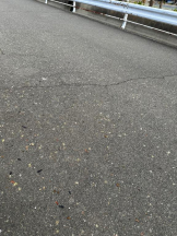 PURITY - ほたるの女の子ブログ画像