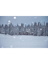 PURITY - ほたるの女の子ブログ画像