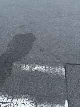 PURITY - ほたるの女の子ブログ画像