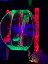 PURITY - ほたるの女の子ブログ画像