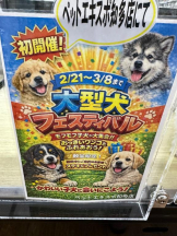 PURITY - ほたるの女の子ブログ画像