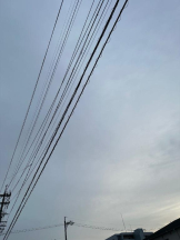 PURITY - ほたるの女の子ブログ画像