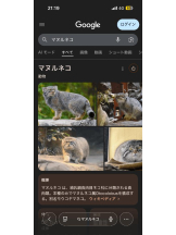 PURITY - ほたるの女の子ブログ画像