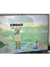 PURITY - ほたるの女の子ブログ画像