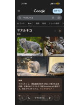 PURITY - ほたるの女の子ブログ画像