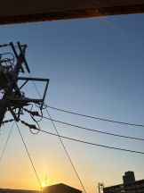 PURITY - ほたるの女の子ブログ画像