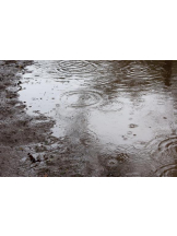 PURITY - ほたるの女の子ブログ画像