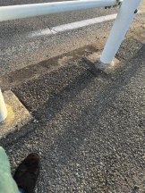 PURITY - ほたるの女の子ブログ画像