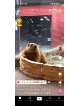 PURITY - ほたるの女の子ブログ画像