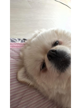 PURITY - ほたるの女の子ブログ画像