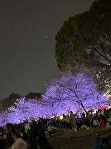 PURITY - ほたるの女の子ブログ画像