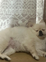 PURITY - ほたるの女の子ブログ画像