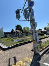 PURITY - ほたるの女の子ブログ画像