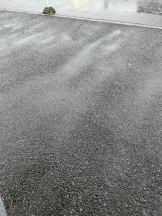 PURITY - ほたるの女の子ブログ画像