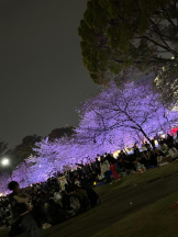 PURITY - ほたるの女の子ブログ画像