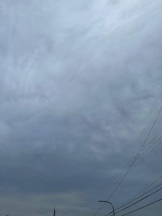 PURITY - ほたるの女の子ブログ画像