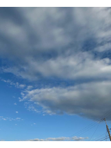 PURITY - ほたるの女の子ブログ画像