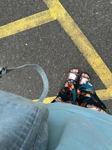 PURITY - ほたるの女の子ブログ画像