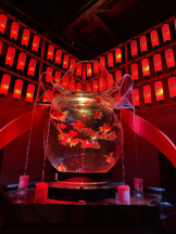 PURITY - ほたるの女の子ブログ画像