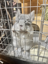 ABBU - みらんの女の子ブログ画像