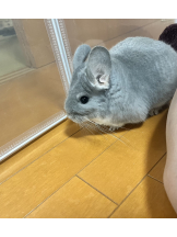 ABBU - みらんの女の子ブログ画像