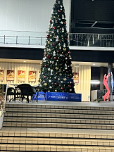 ABBU - みらんの女の子ブログ画像