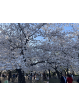 ABBU - みらんの女の子ブログ画像