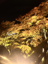 ABBU - みらんの女の子ブログ画像