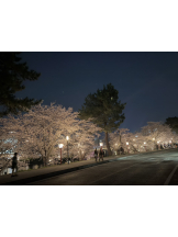 ABBU - みらんの女の子ブログ画像