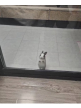 ABBU - りりの女の子ブログ画像