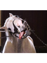 ABBU - りりの女の子ブログ画像