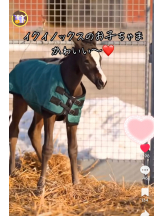 ABBU - りりの女の子ブログ画像