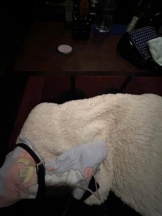 Club GOLD - まほの女の子ブログ画像