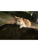 Club GOLD - まほの女の子ブログ画像