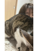 Club GOLD - まほの女の子ブログ画像