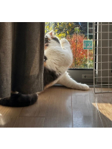 Club GOLD - まほの女の子ブログ画像