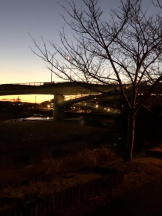 Club GOLD - まほの女の子ブログ画像