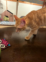 Club GOLD - まほの女の子ブログ画像