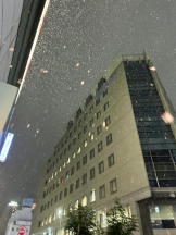 Club GOLD - まほの女の子ブログ画像