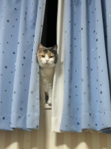 Club GOLD - まほの女の子ブログ画像