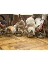 Club GOLD - まほの女の子ブログ画像